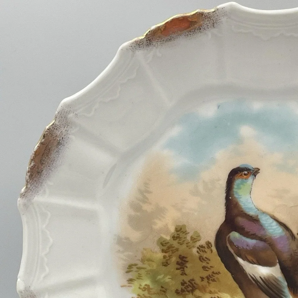 Antique 1920s Silesia‎ Germany Game Bird Scenic Porcelain Cabinet Plate 8